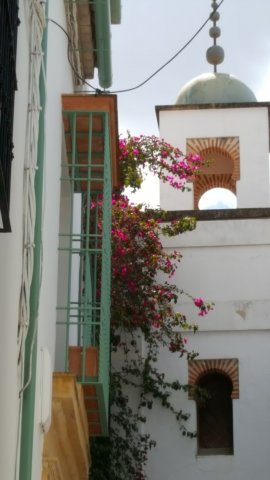 780 cordoba bario de la juderia